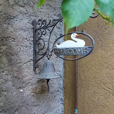 El Pomer *