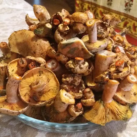 شقة El Pomer